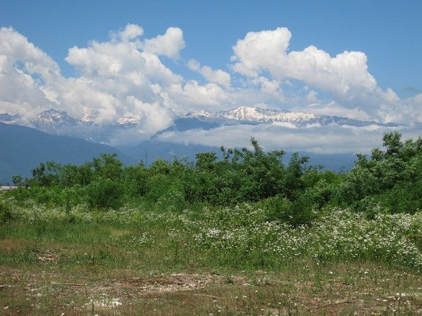 Александр Чертилин Валерьевич | Лесные Поляны