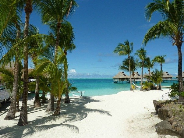 Мария Кожирнова m@l@i | Нижний Новгород