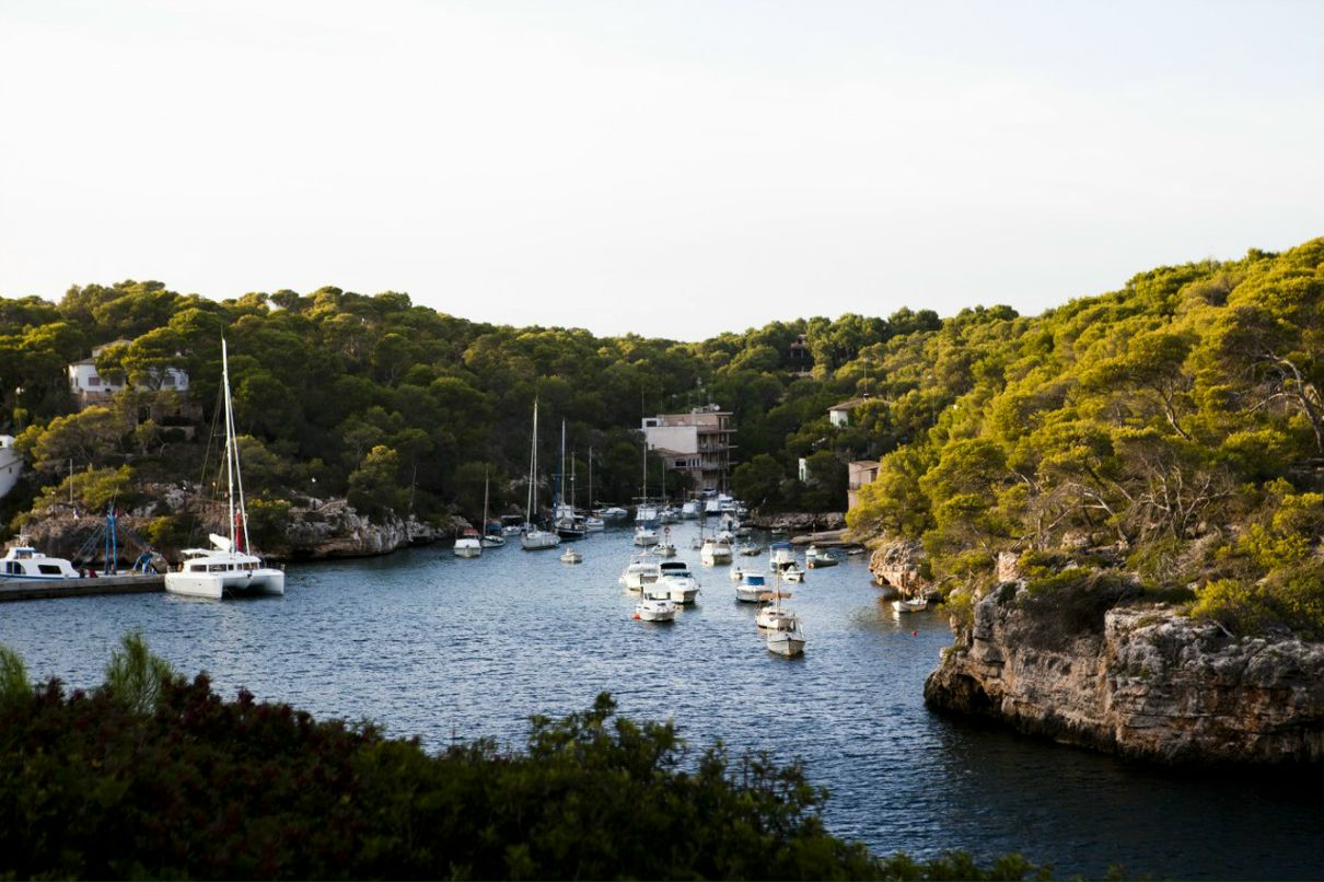 Dina Tupchik | Брест