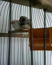 №194, Ксения Юровская, Челябинск №194, Ксения Юровская, Челябинск