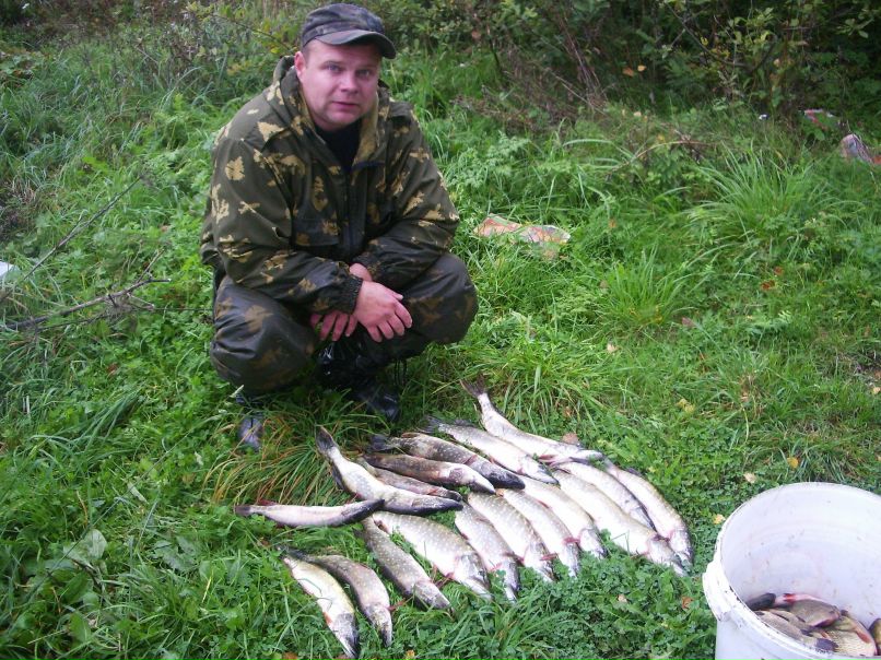 Сергей Штана | Санкт-Петербург