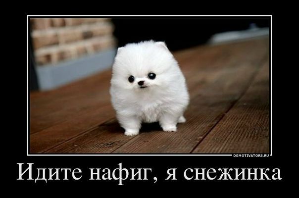 №3, Славик Тихон №3, Славик Тихон