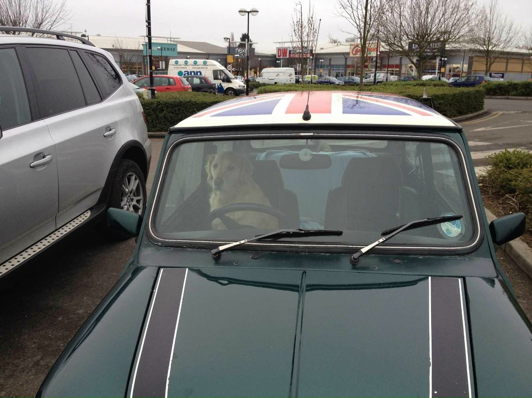 Руслан Ii | Rotterdam