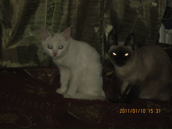 №111, Марина Абакумова, Ростов-на-Дону №111, Марина Абакумова, Ростов-на-Дону