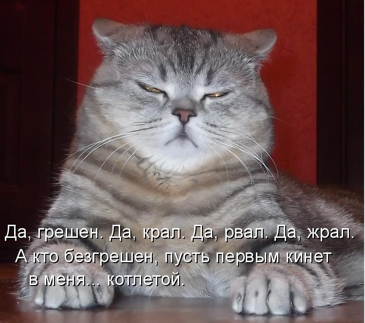 Денис Васильев | Великий Дальник