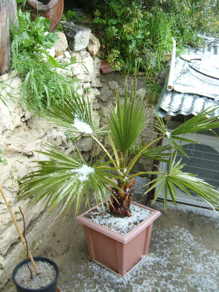 Elena Christoforou | Limassol