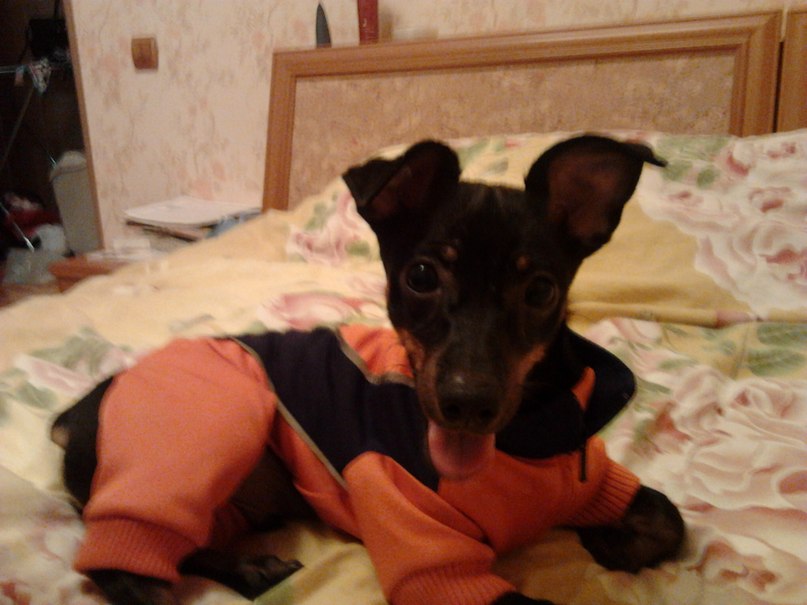 Евгения Тудвасева | Пермь