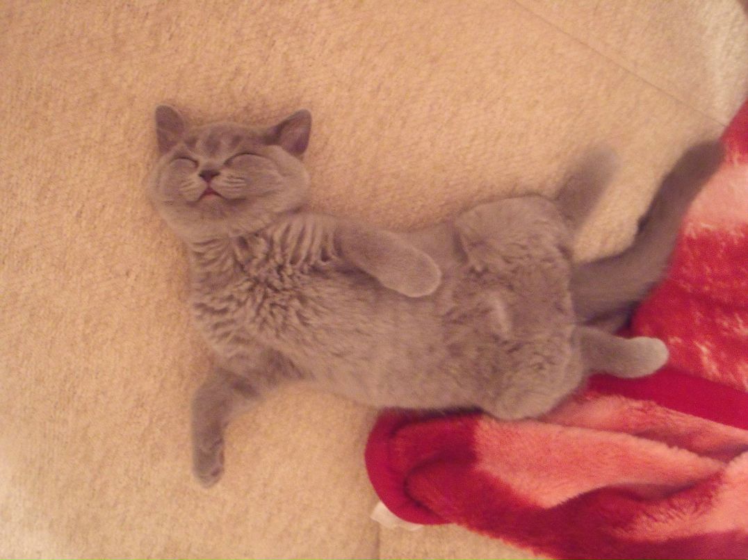 Natasha Greskaya lvionocheg | Минск