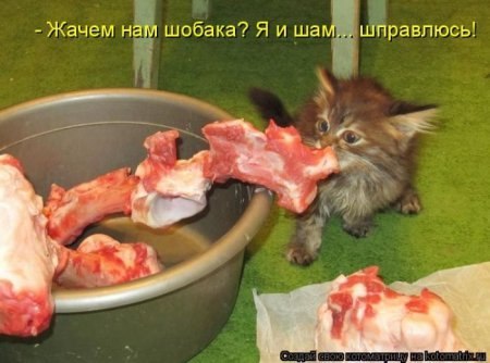 Валентин Выборцев ЧеШиР | Москва