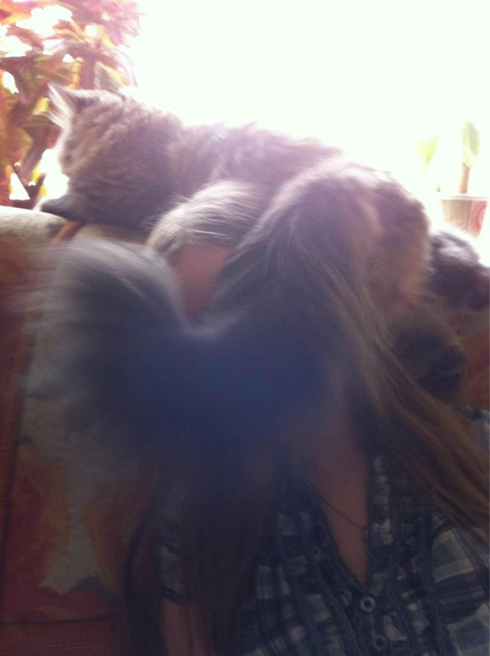 Катя Золотаревская | Potsdam