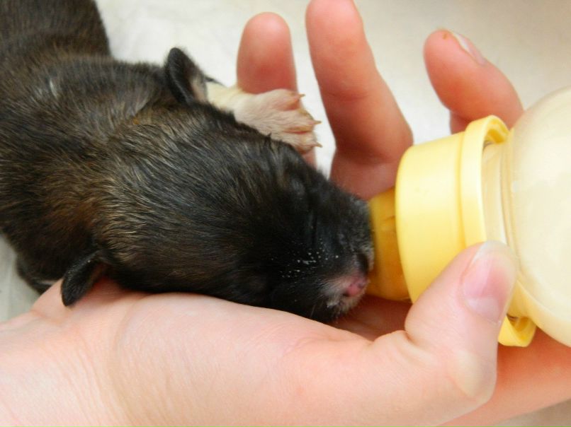 Оксана Бельская | Ульяновск