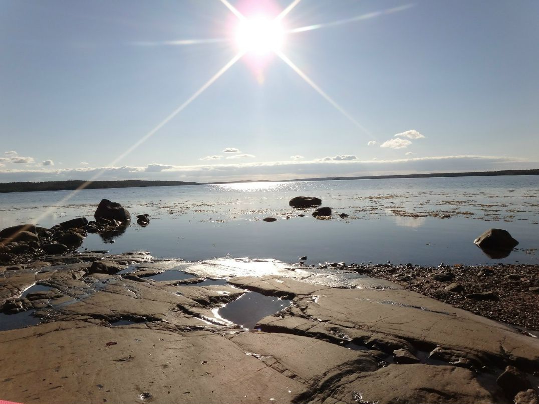 Игорь Шишаев | Санкт-Петербург