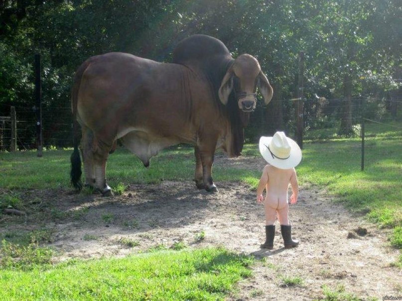 Иван Петров | 