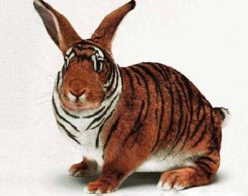 Дмитрий Сидоренко | Ростов-на-Дону