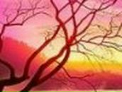 Дмитрий Карабаджак | Ладыжин