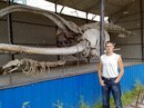 Фотография Алексей Соловьев