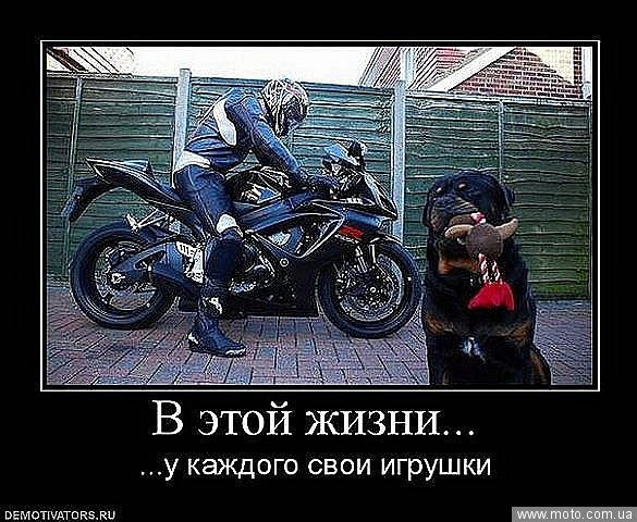 Дмитрий Шарапов | Клин