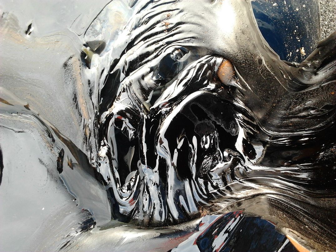 Дмитрий Миронов крокодил зелёный mcquae | Ульяновск