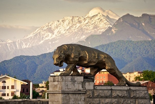 Земфира Калоева | 