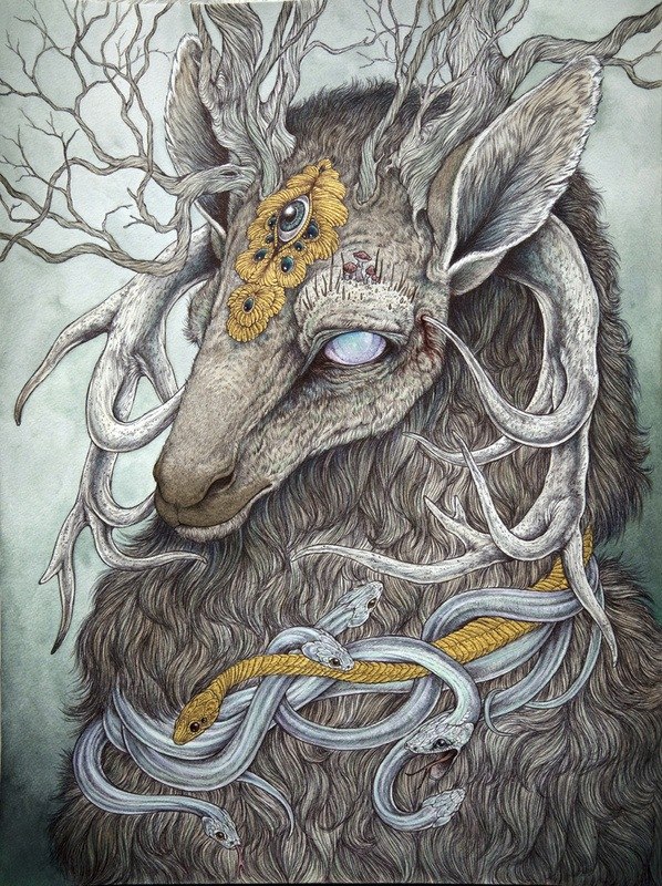 Ольга Романова | Санкт-Петербург