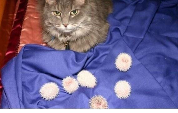 Марина Попова | Санкт-Петербург