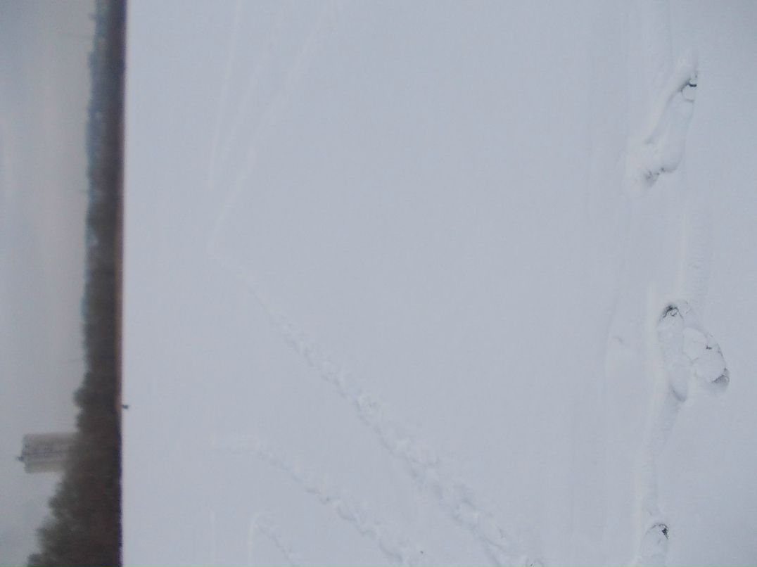 Влад Азаров ~$u$~ | 