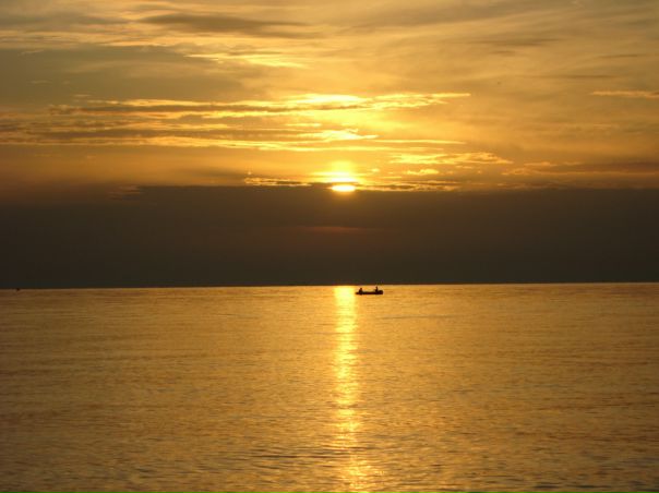 №5, Дима Закутный №5, Дима Закутный