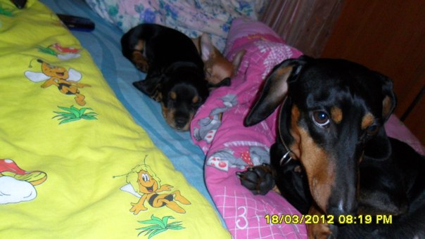 №7, Олеся Семакова, Северодвинск №7, Олеся Семакова, Северодвинск