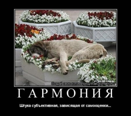 №182, Галия Галиуллина №182, Галия Галиуллина