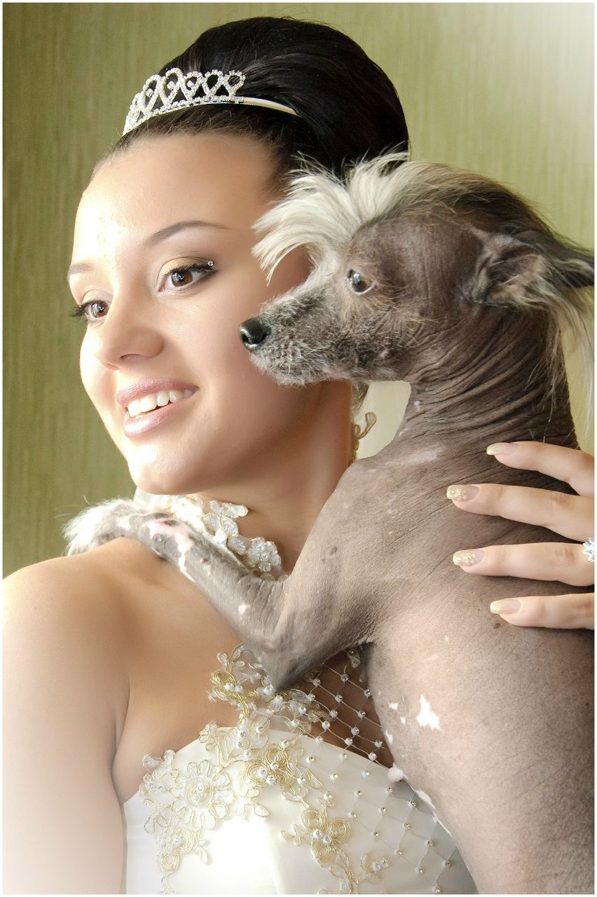 Валерия Овчинникова | Новосибирск