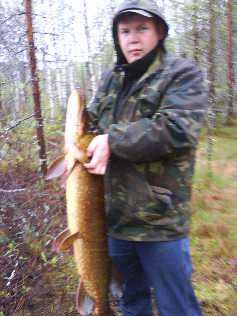 Алексей Межуев | Санкт-Петербург
