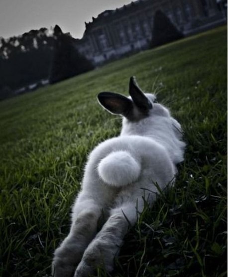 Дарья Егорова | Видное