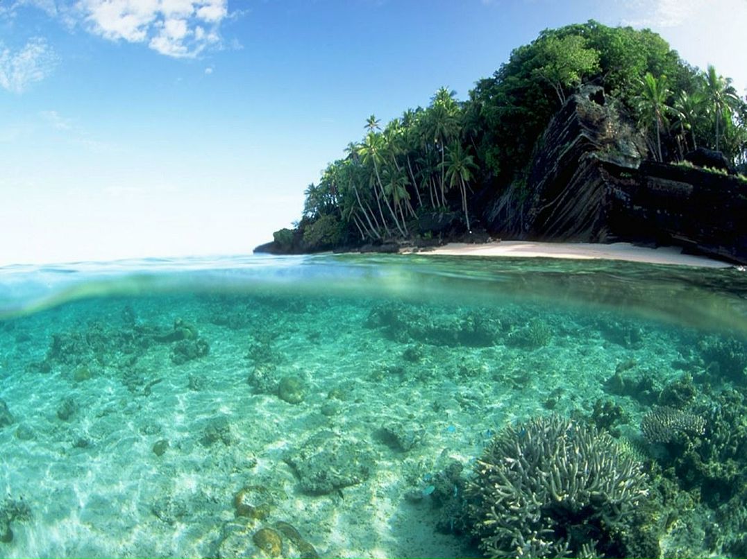 Ян Фицнер | Санкт-Петербург