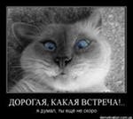 Андрей Галинский | Москва