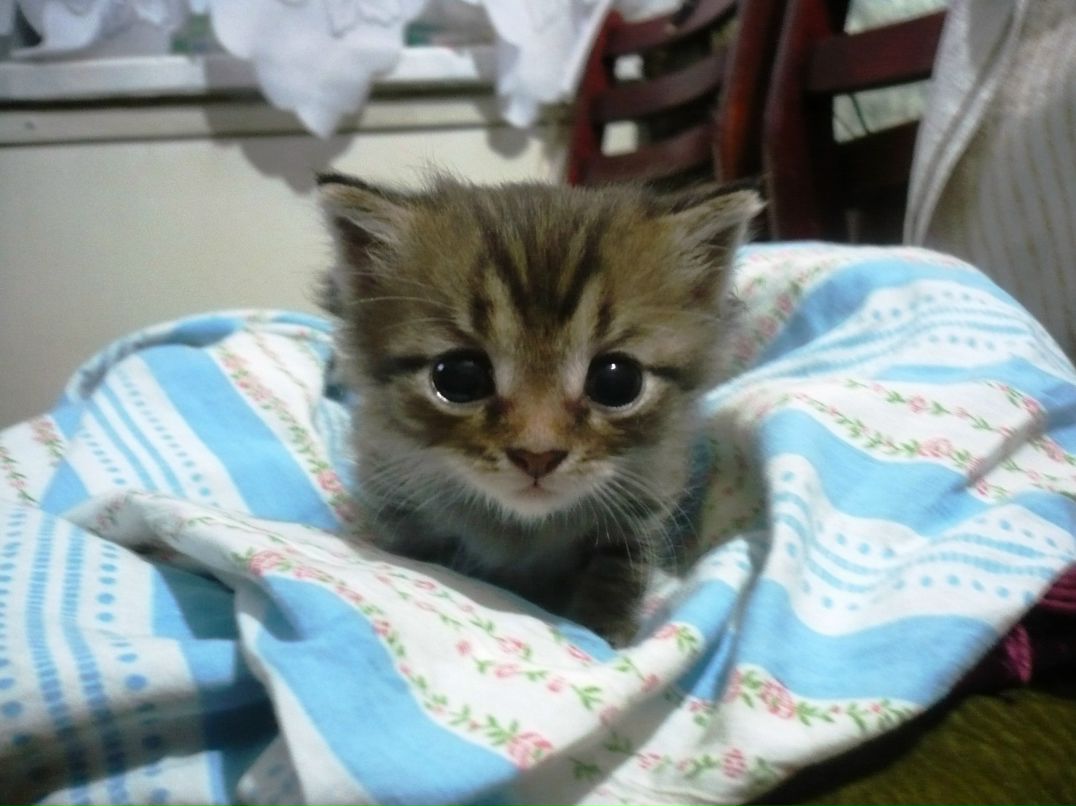 Ксюша Костенко | 