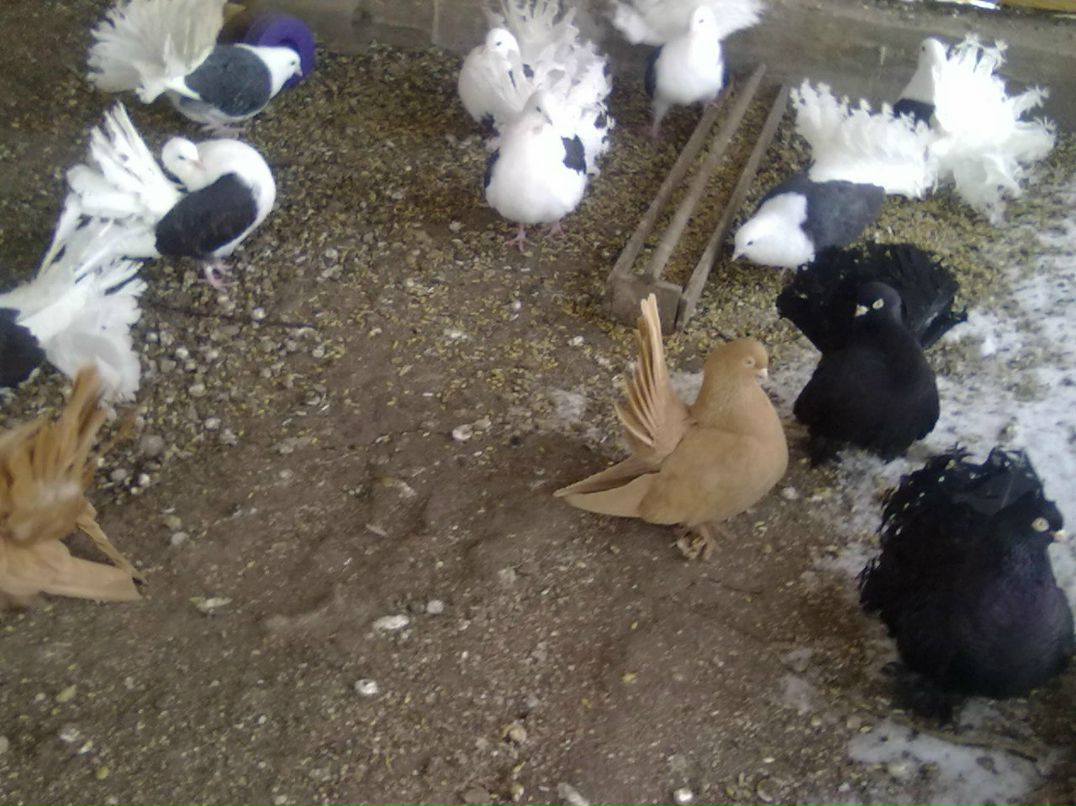 Саша Демьяненко | Новоазовск