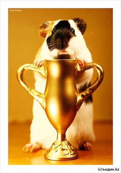 №3, Дарья Потапова, Ульяновск №3, Дарья Потапова, Ульяновск