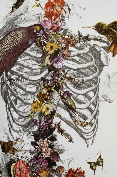 Мария Чикишева | Санкт-Петербург