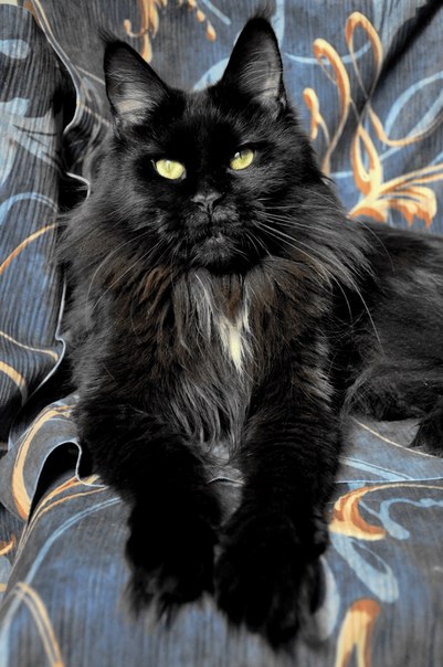 №146, Аня Григорьева, 48 лет, Одесса №146, Аня Григорьева, 48 лет, Одесса