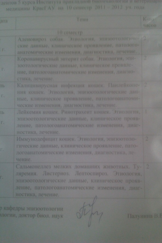 Анастасия Белавина | Красноярск