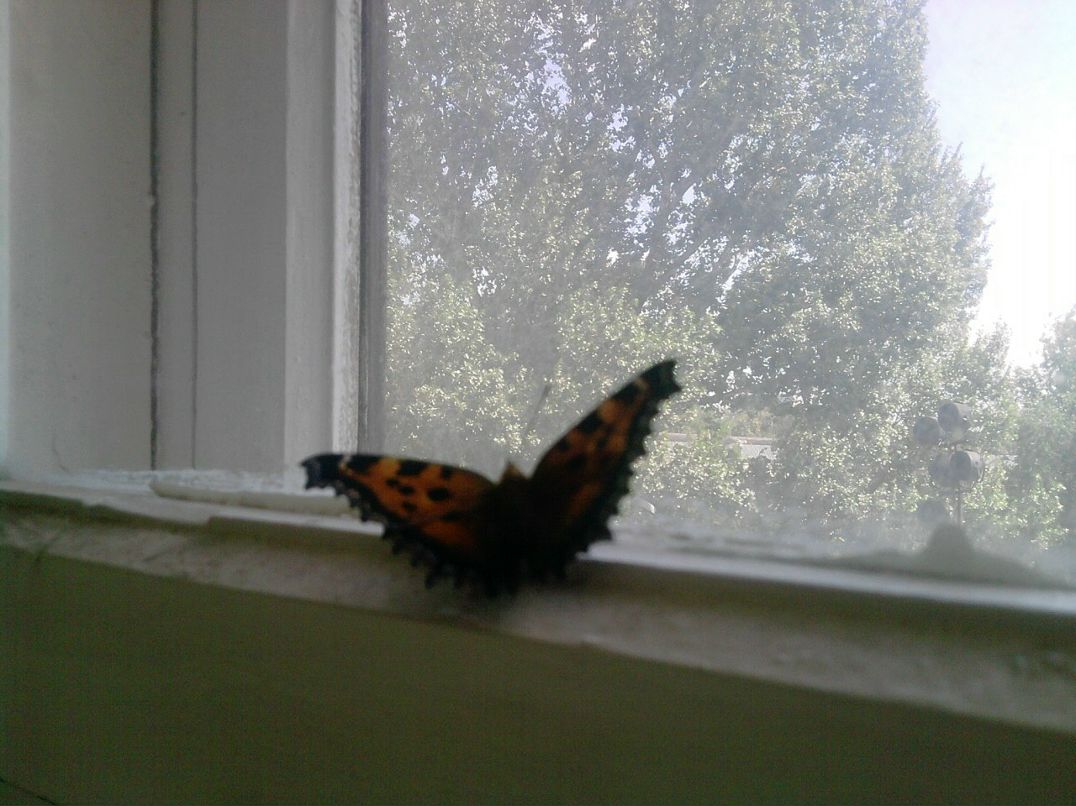 Алсу Валиахметова Фаатовна | Самара