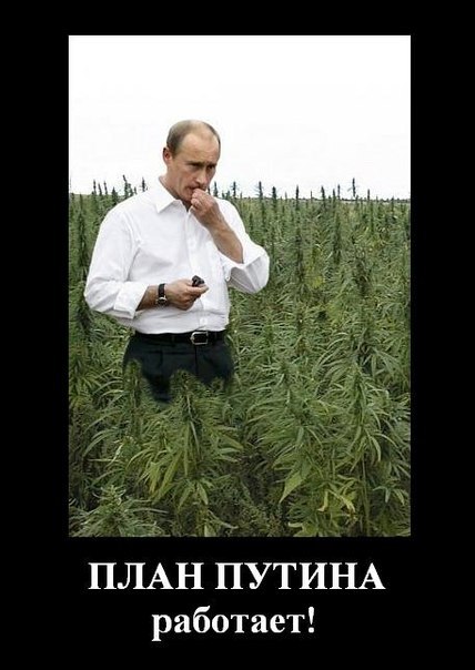 Ильдар Алимов | Ульяновск