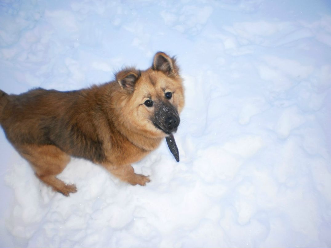 Оксана Василенко | Сергиев Посад