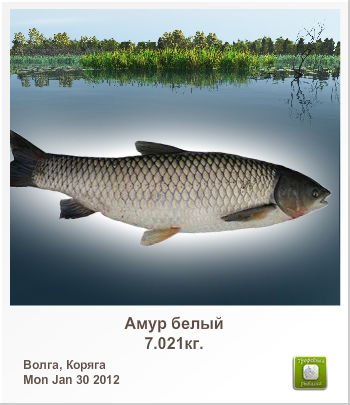 Роман Ершов | Киев