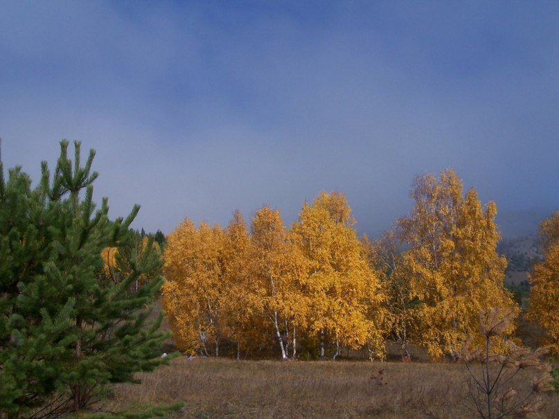 Павел Серкин | Кумора