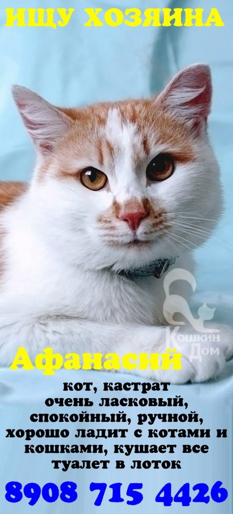 Мария Анурова-Приходько *rakne* | Сыктывкар