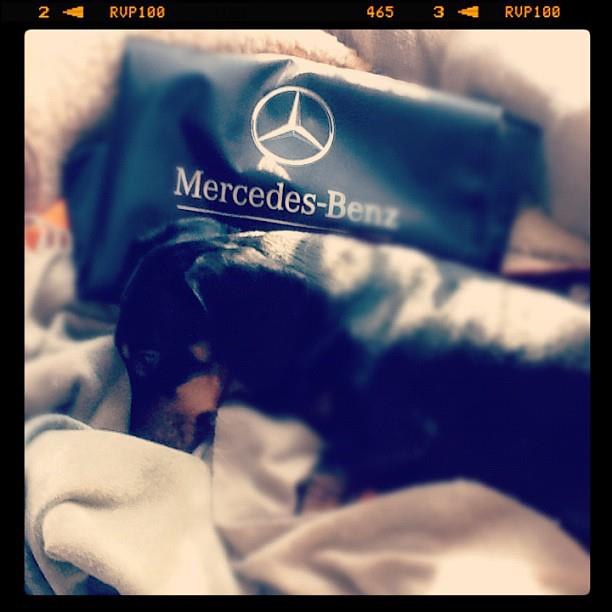 Alexander Babakov | Москва