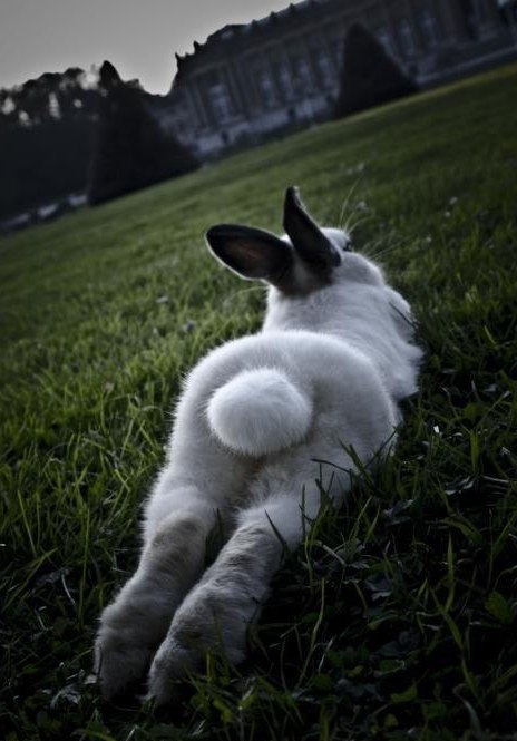 Гузель Муллахметова | Казань