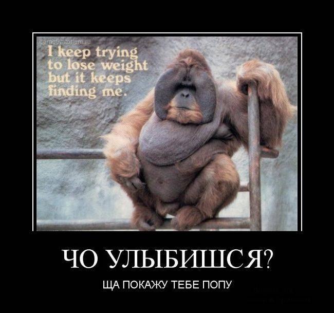 Георгий Петухов | Набережные Челны