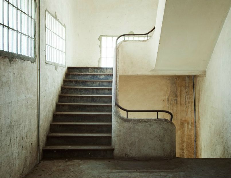 Светлана Пуртова | 